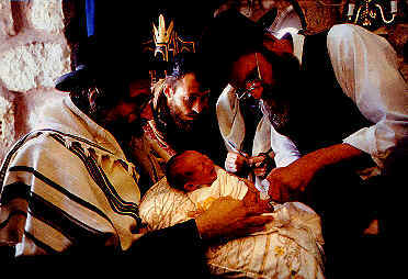 Jewish Bris.jpg (20 KB)