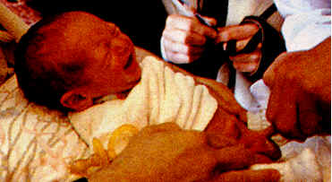Jewish Infant.jpg (13 KB)