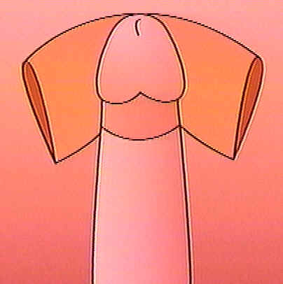 Cut 3.jpg (11 KB)