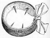 Penile Ring1.gif (50570 bytes)