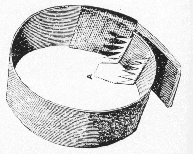 Penile Ring2.gif (49452 bytes)